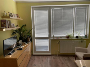Utulny byt v sirsom centre - Cosy apartment